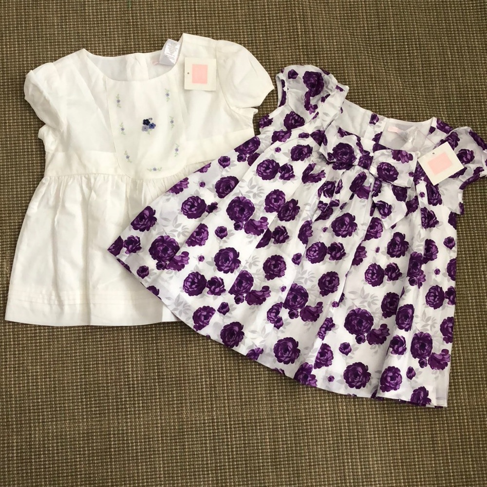 Lot of 2 Janie & Jack blouses